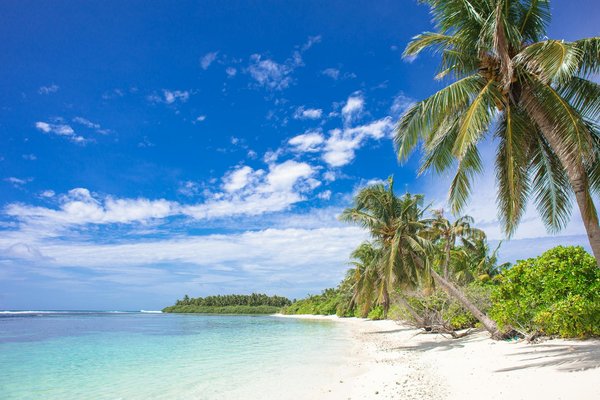 Location de court séjour aux sables-d'olonne : votre escapade idéale